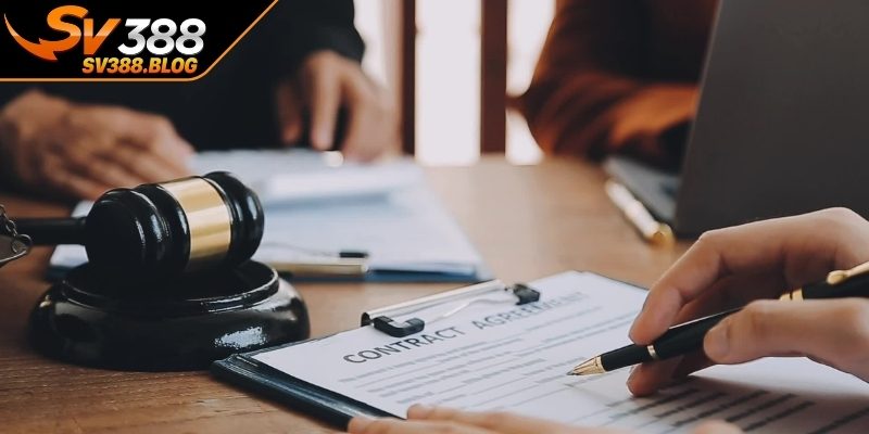 Quy trình cấp phép hoạt động SV388