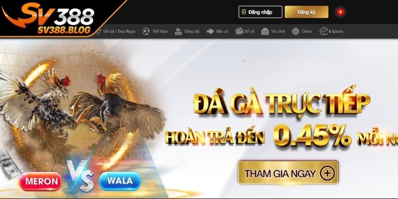 Đánh giá tính minh bạch tìm hiểu SV388 có uy tín không