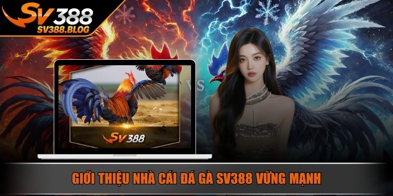 Giới thiệu nhà cái đá gà SV388 vững mạnh